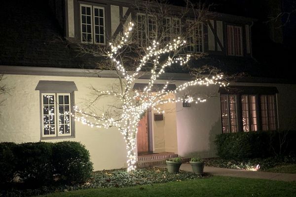 Front-yard tree wrapped in white Christmas lights beside a Tudor style home